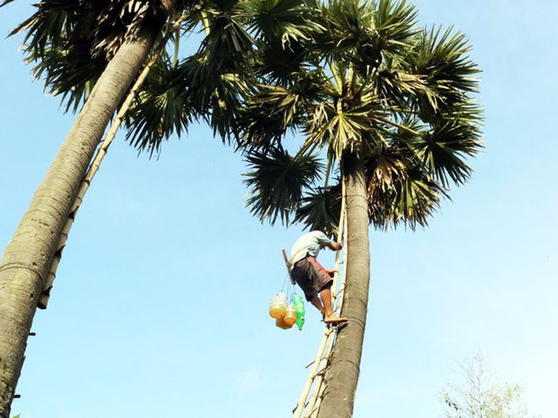 nằm mơ thấy trèo cây