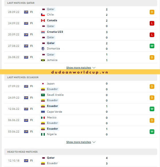 phong-do-va-lich-su-doi-dau-Qatar-vs-Ecuador (1)